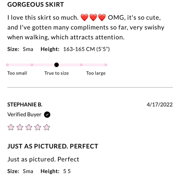 Swish it skirt - hello molly - Pink Floral Skirt - Picture 6 of 6